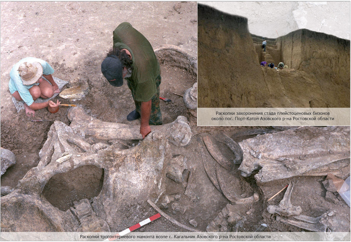Палеонтологические раскопки